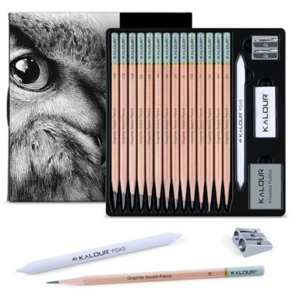 KALOUR 18-Piece Professional Sketch Pencil Set - Includes 5H to 14B Pencils, Vinyl Eraser, Kneaded Eraser,Sharpener and Paper Blending Stump - Ideal for Artists and Beginners