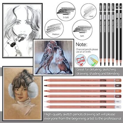 PANDAFLY Professional Colored Charcoal Pencils Drawing Set, 20 Pack Art Pencil Kit - Pastel Chalk Pencils, Black & White Charcoal Pencils, Graphite Pencils, Charcoal Sticks - Image 4