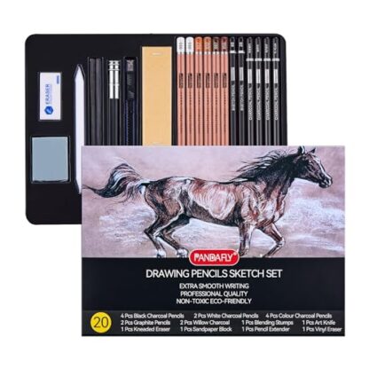 PANDAFLY Professional Colored Charcoal Pencils Drawing Set, 20 Pack Art Pencil Kit - Pastel Chalk Pencils, Black & White Charcoal Pencils, Graphite Pencils, Charcoal Sticks